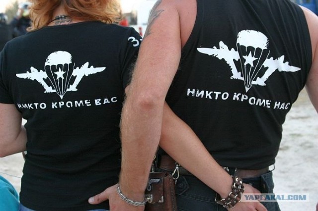 Он их раскусил