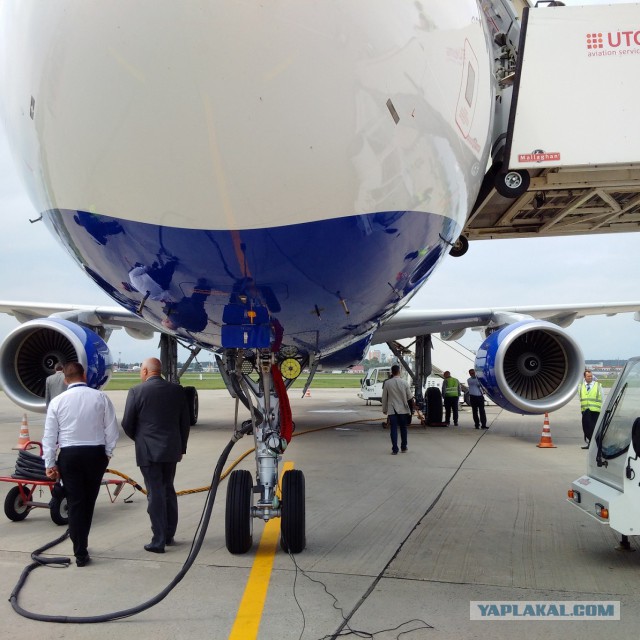 Прилет новенького Airbus 321 во Внуково