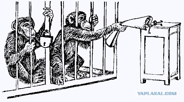 Для начинающих медвежатников