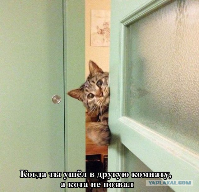 Подборка картинок