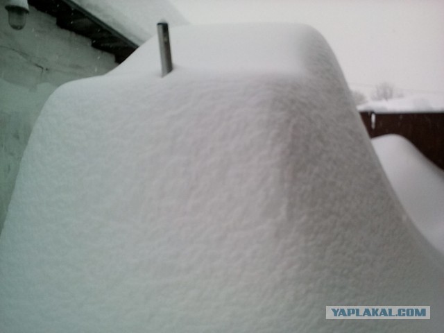 Вот такая нынче зима