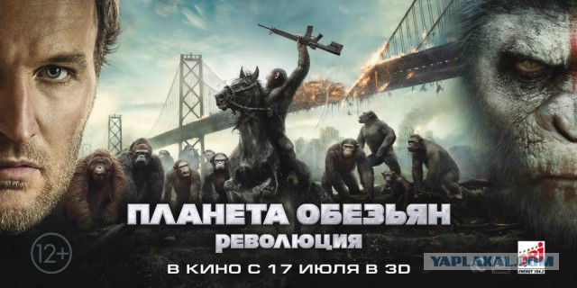 Шокирующие кадры из Европы