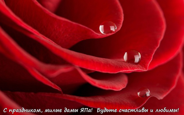 Кулинарное поздравление девчонкам ЯПа