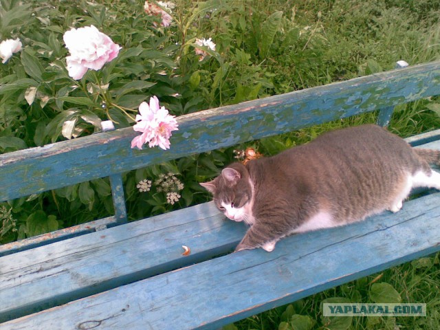 Многодетная мать отвлеклась на пару минут и потеряла любимую дочь.