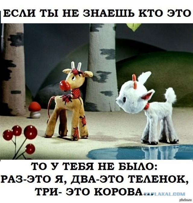 Почему стюардессы держат руки за спиной во время посадки