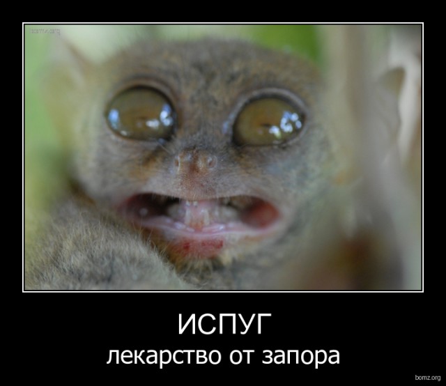 Сальто на краю дубайского небоскреба