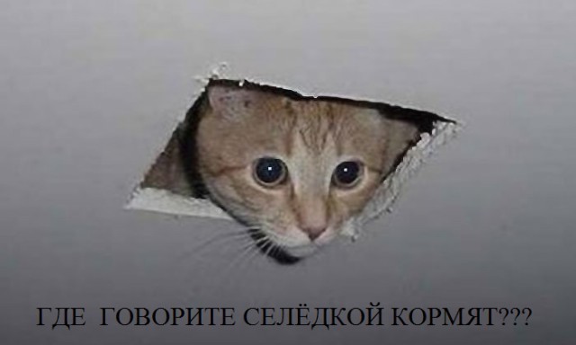 Посиделки под селёдку