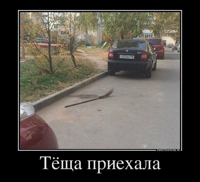 Тёща приехала, стала жизни учить!