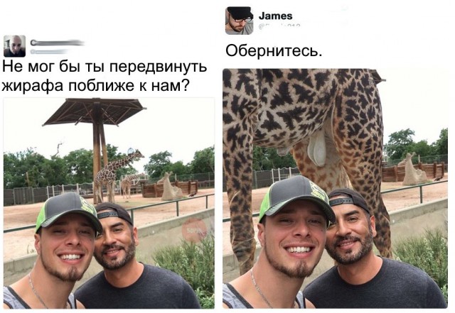 Ужасы и приколы из соцсетей 18+