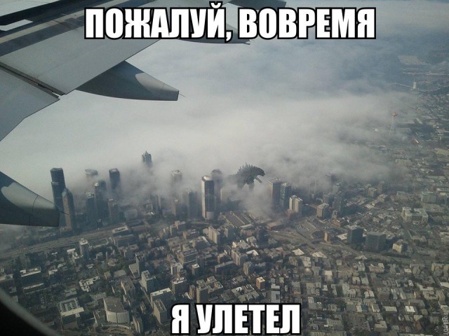 Какая-то неведомая ерунда ползёт