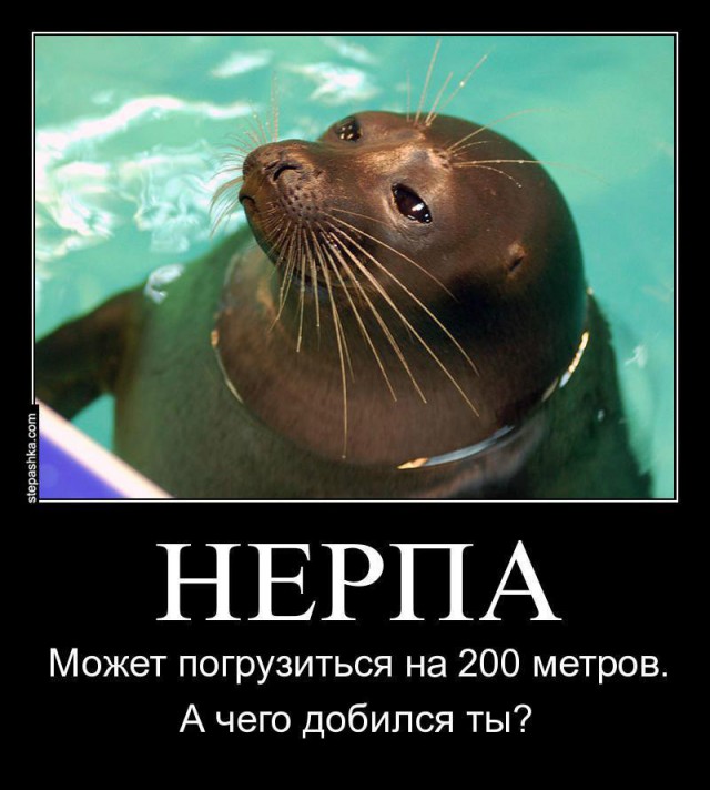 «Посвящаю эту медаль нашим ребятам, которых подло, мерзко и без каких-либо объяснений отстранили»
