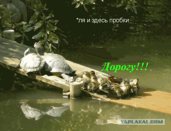 Ну ёёё... и здесь пробки!