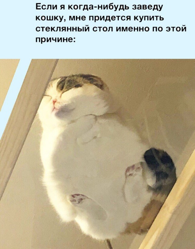 Немного милоты