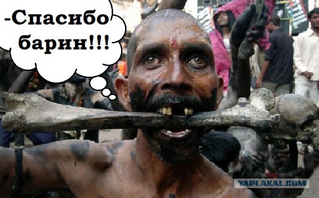 Зарплата официантов Октоберфеста поразила россиян