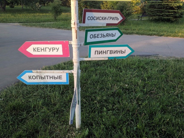 WTF: что тут происходит?