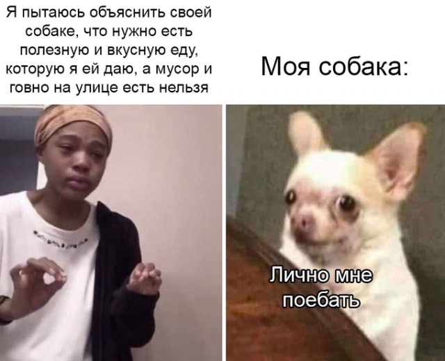 Журнал с картинками
