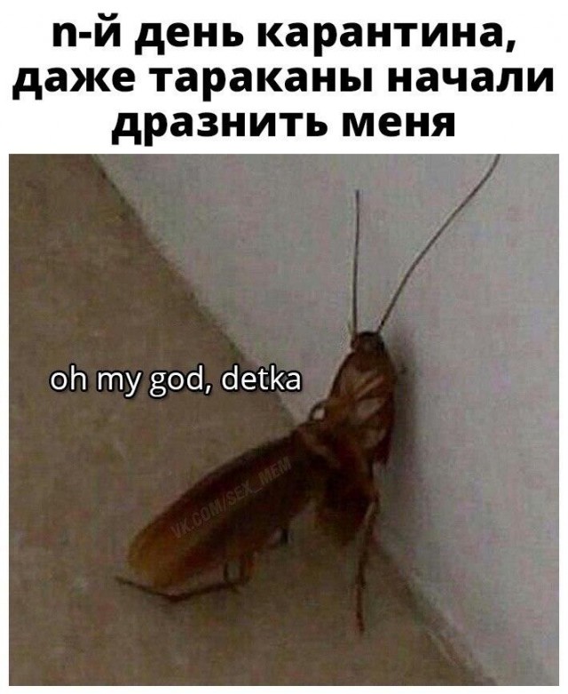 Очень пошлые картинки про это.18+