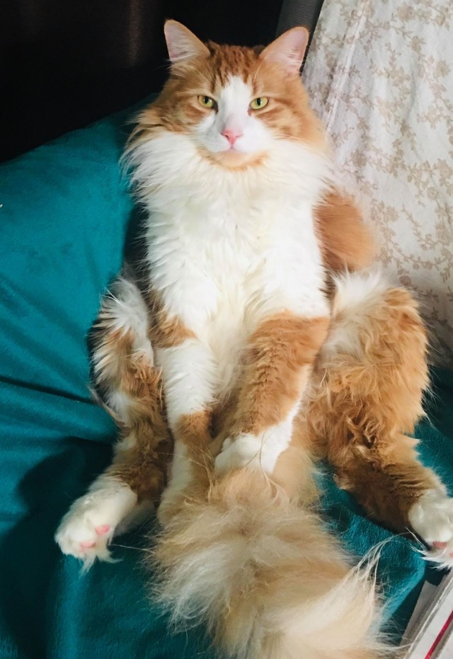 Доброты и милоты вам в ленту