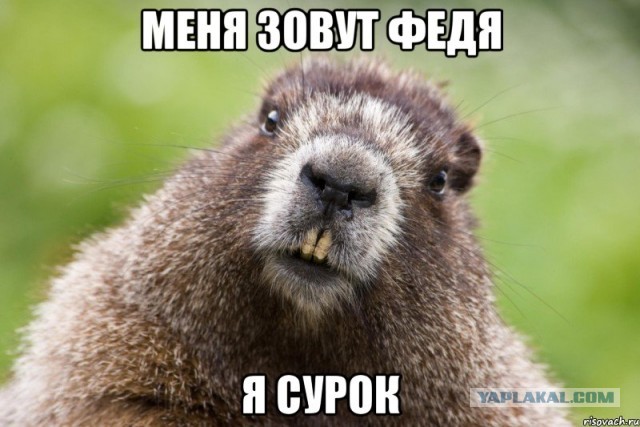 "Если бы не "запасы", прокусил бы до кишки"