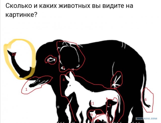 Юмор в картинках 7.10.20