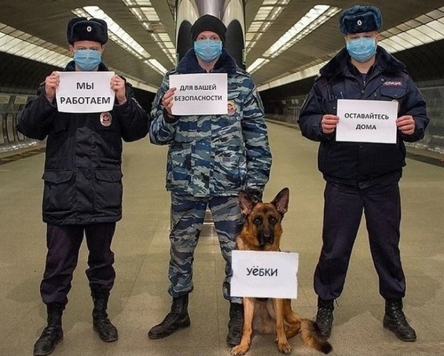 Кто в лес, кто по дрова… Как нас в очередной раз обвели вокруг пальца