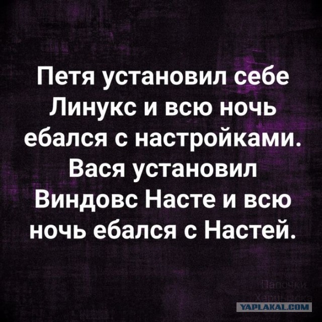 Весёлый полтишок 29.03