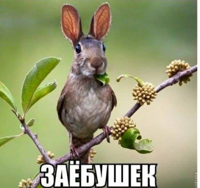 Прикольные фото к субботе