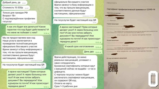 Мошенник, торгующий справками о вакцинации в телеграме, кинул полицию Подмосковья при проверочной закупке на 12 000 рублей