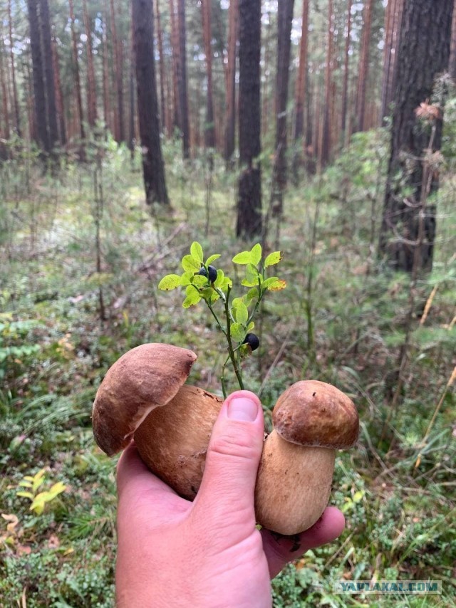 Нет покоя увлечённым