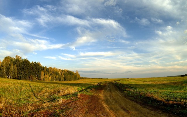 Осенние поля