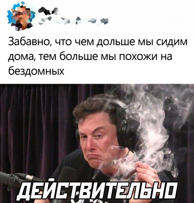 Картинки и мемы для настроения 01.11.2021