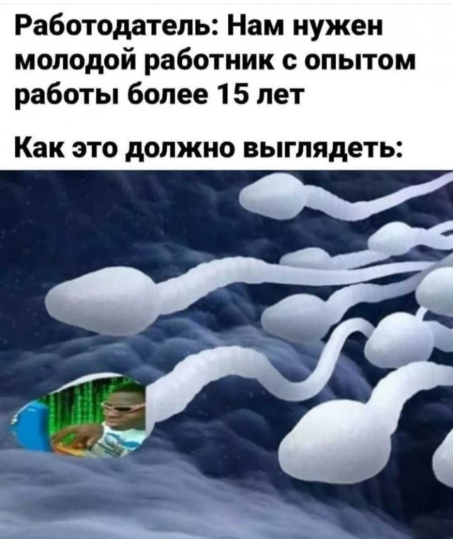 Весёлый полтишок 03.02