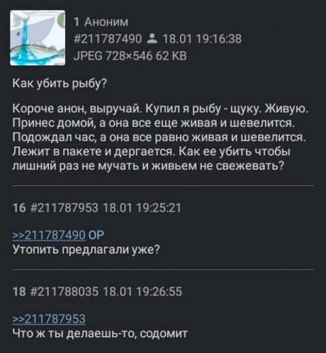 Немного картинок для настроения - 131