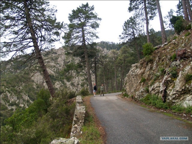 Франция. Корсика.