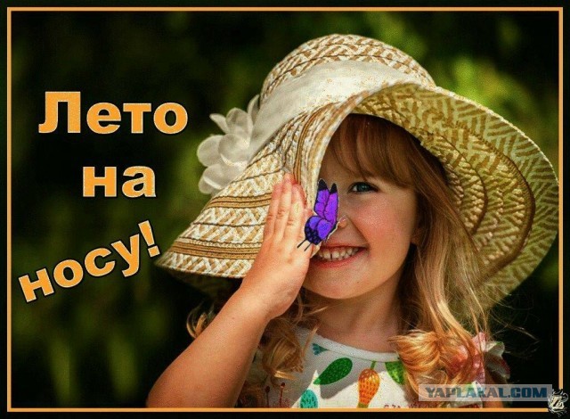Победная поступь идиотизма по планете – том 7
