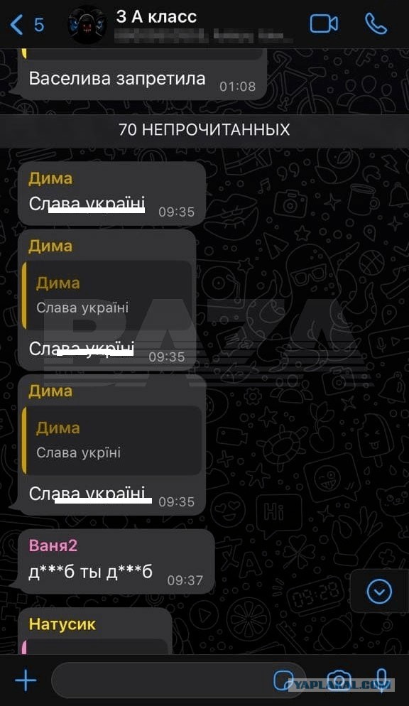 В Подмосковье родитель сдал в полицию третьеклассника, написавшего в школьном чате "Слава Украине!"