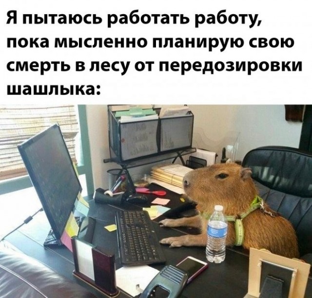 Немного картинок 07.05.23