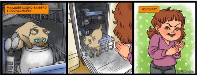 Забавные комиксы о реалиях жизни с кошкой