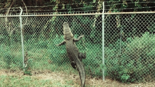 Так себе картинки 27.08.23