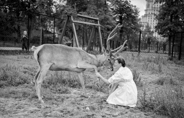 Фотографии из прошлого нашей страны - 50