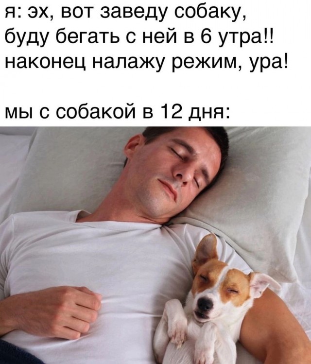 Так себе картинки 08.05.24