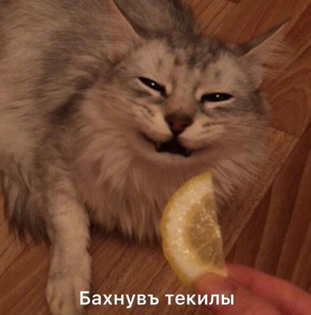 Всего понемногу. От 01.11.2024