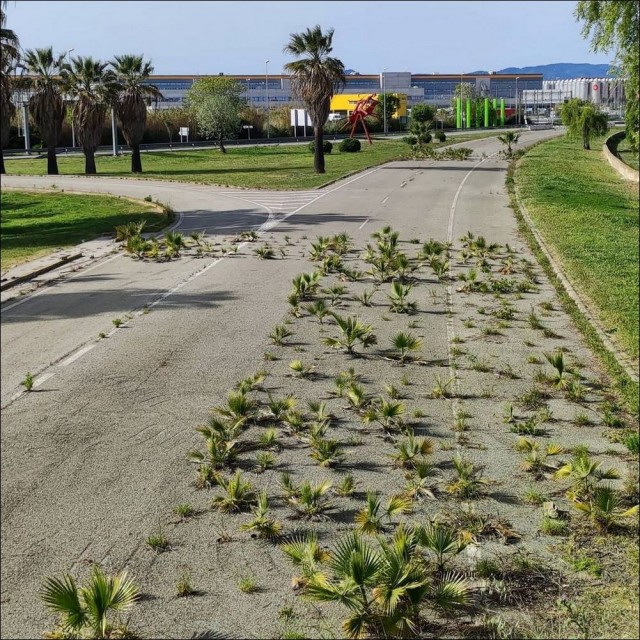 ФотоВинегрет