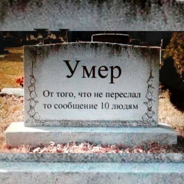 Весёлый полтишок 13.07.25