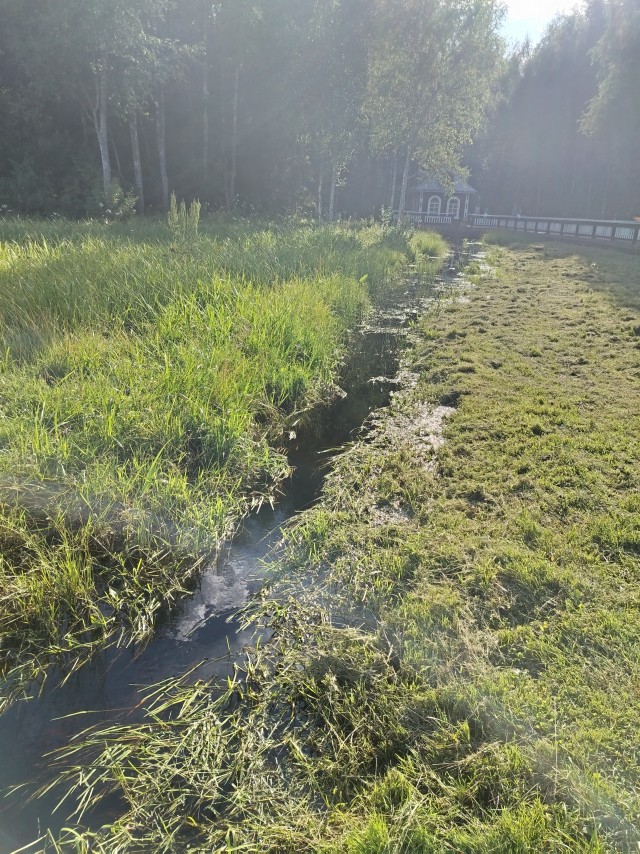 Поездка выходного дня