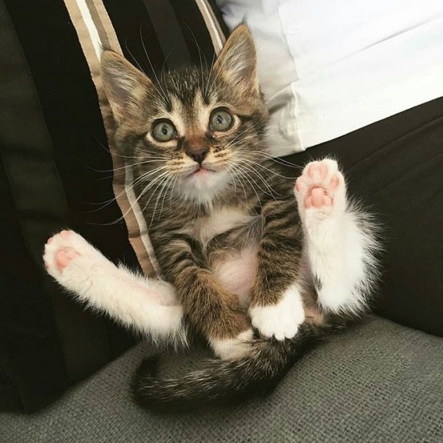 Прикольные и просто красивые картинки 18.11.2025