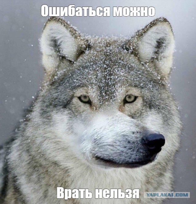 Официальное заявление ЧФ РФ по поводу Варшавянки