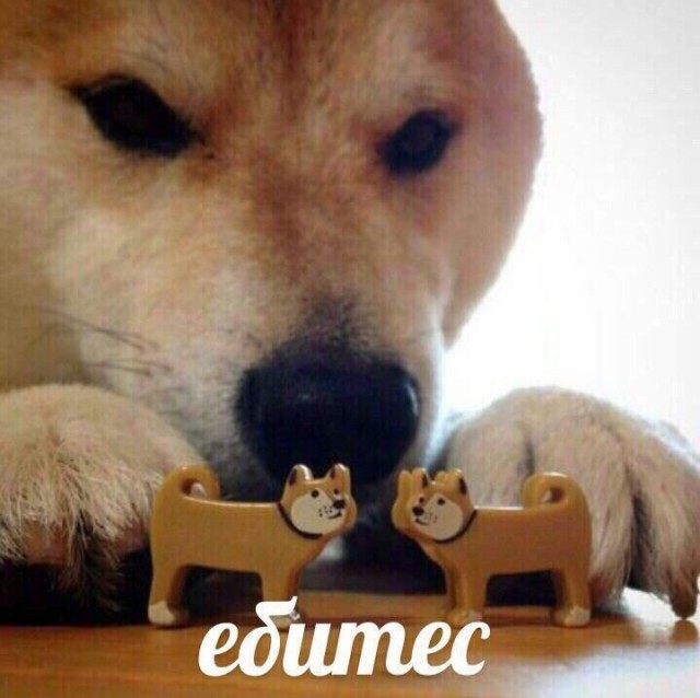Оливье.