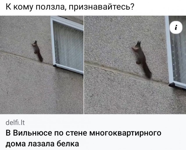 Картиночки, баянчики 16 февраля