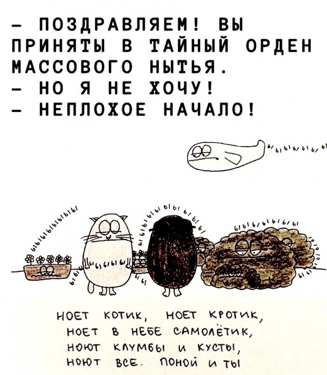 Так себе картинки 18.02.26